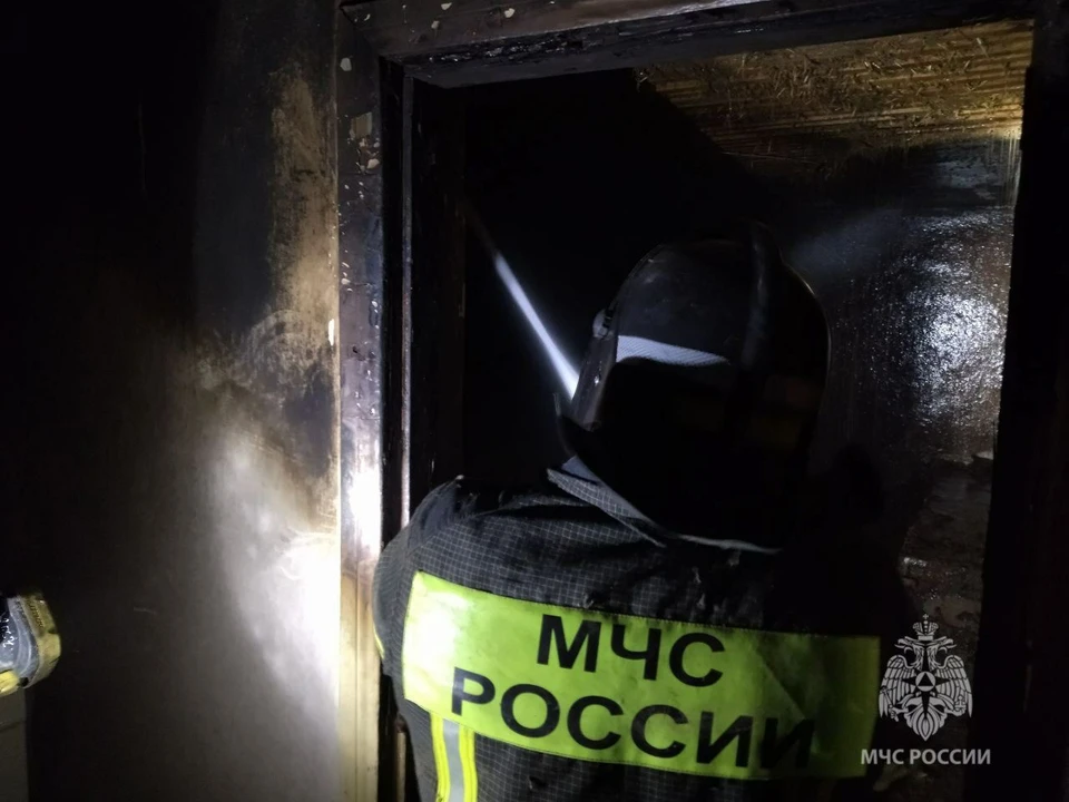 Сотрудники ведомства ликвидировали два возгорания ФОТО: ГУ МЧС Херсонской области