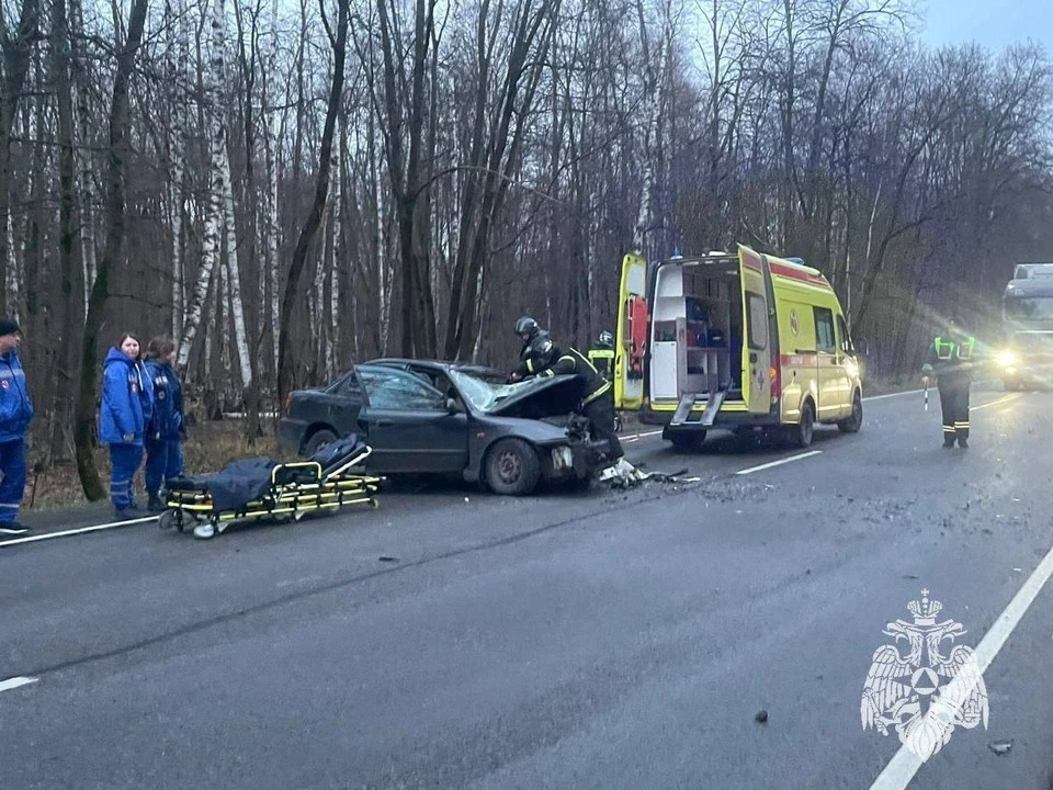 Прокуратура проводит проверку по факту смертельного ДТП в Богородицком районе