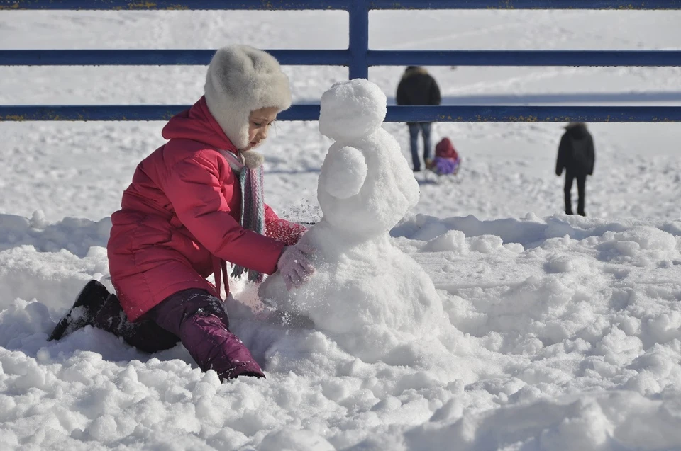 Символом новогоднего Новосибирска может стать снежная баба.