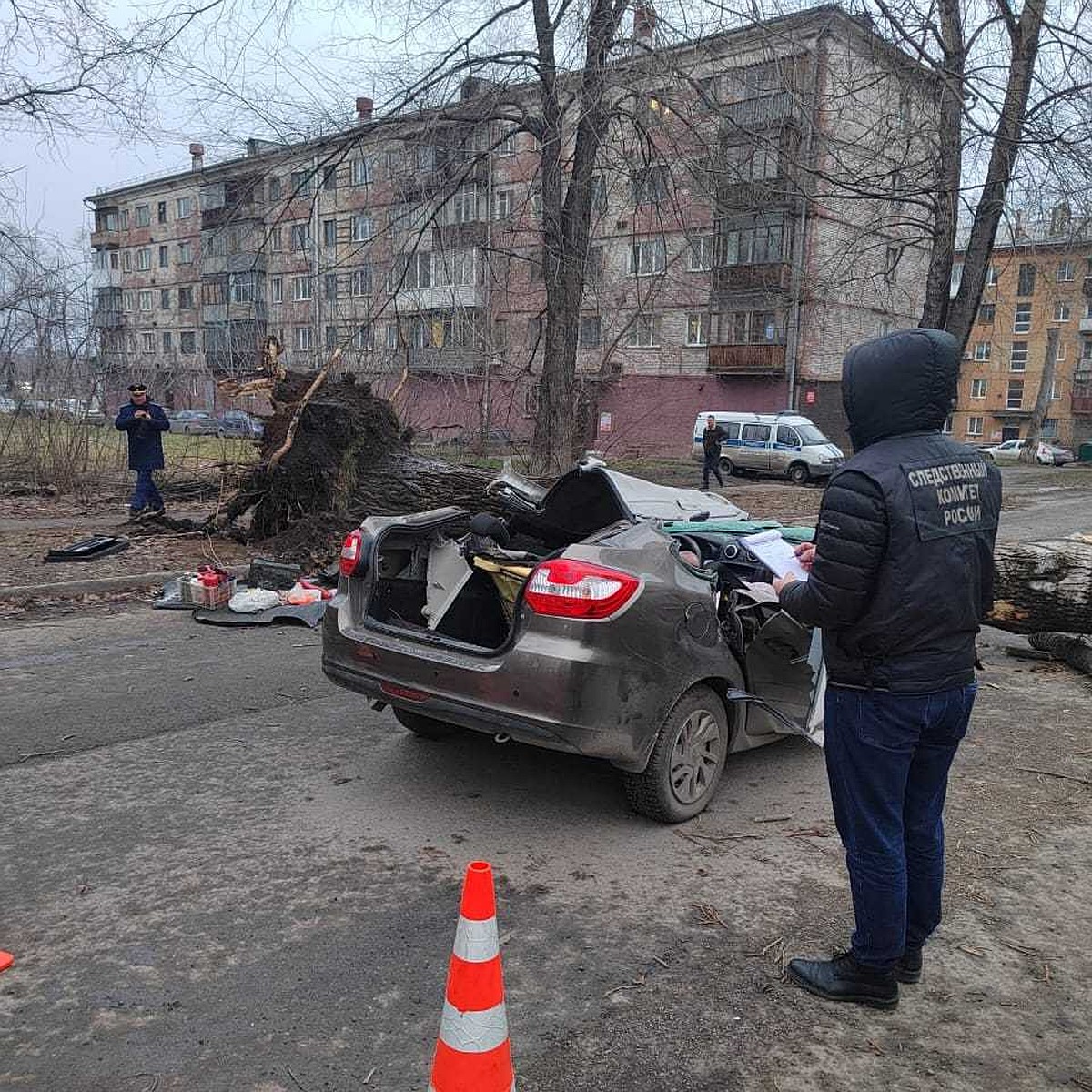 В Кузбассе вырванный ветром огромный тополь упал на машину и убил двух  человек - KP.RU