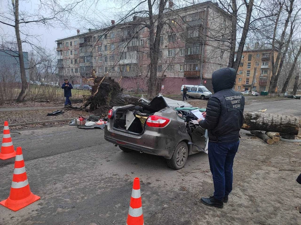 Фото: СК РФ по Кемеровской области.