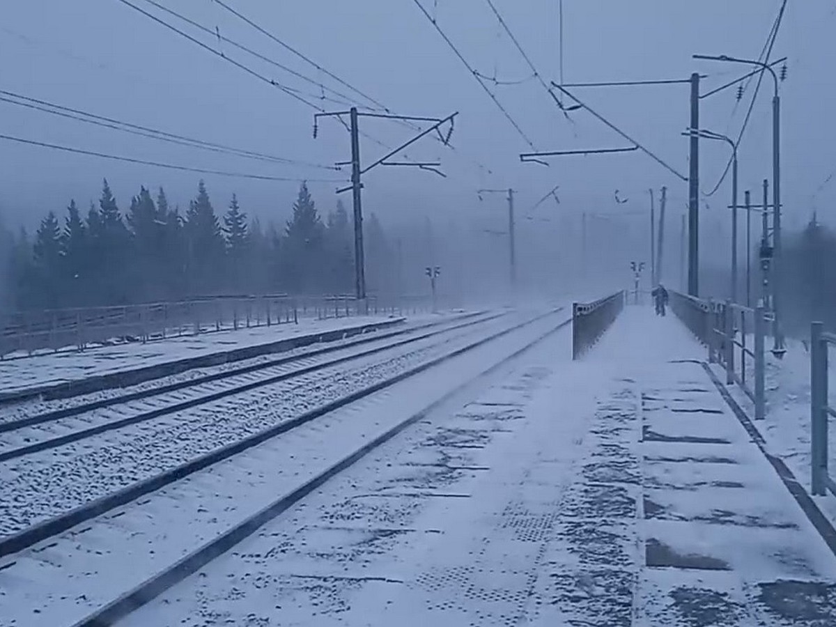 Видео урагана в Красноярске 19 ноября 2023: за городом началась сильная  метель - KP.RU