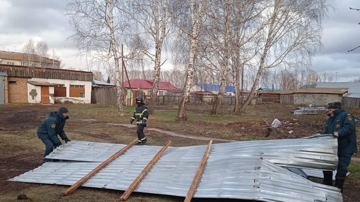 Погибшая во время урагана в Барнауле женщина: чио известно о погибшей,  ураган в Алтайском крае 19 ноября 2023 - KP.RU