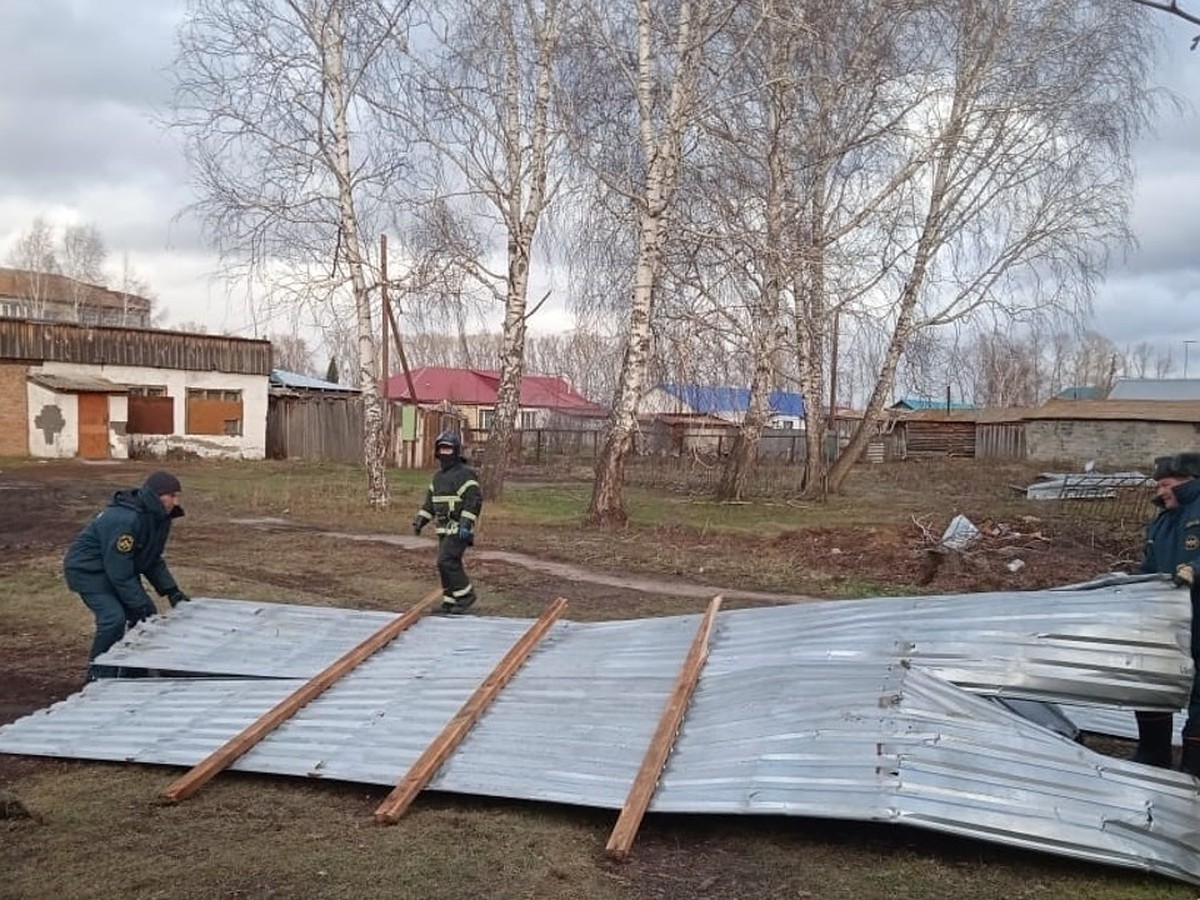 Погибшая во время урагана в Барнауле женщина: чио известно о погибшей,  ураган в Алтайском крае 19 ноября 2023 - KP.RU