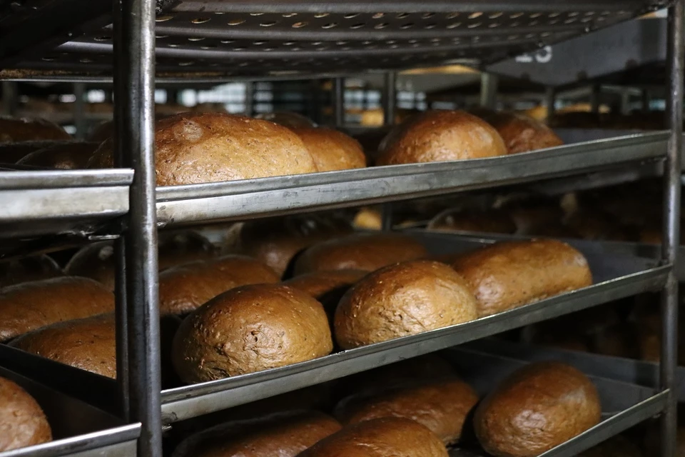 Братский «Падун-хлеб» повысил выработку на 33 %