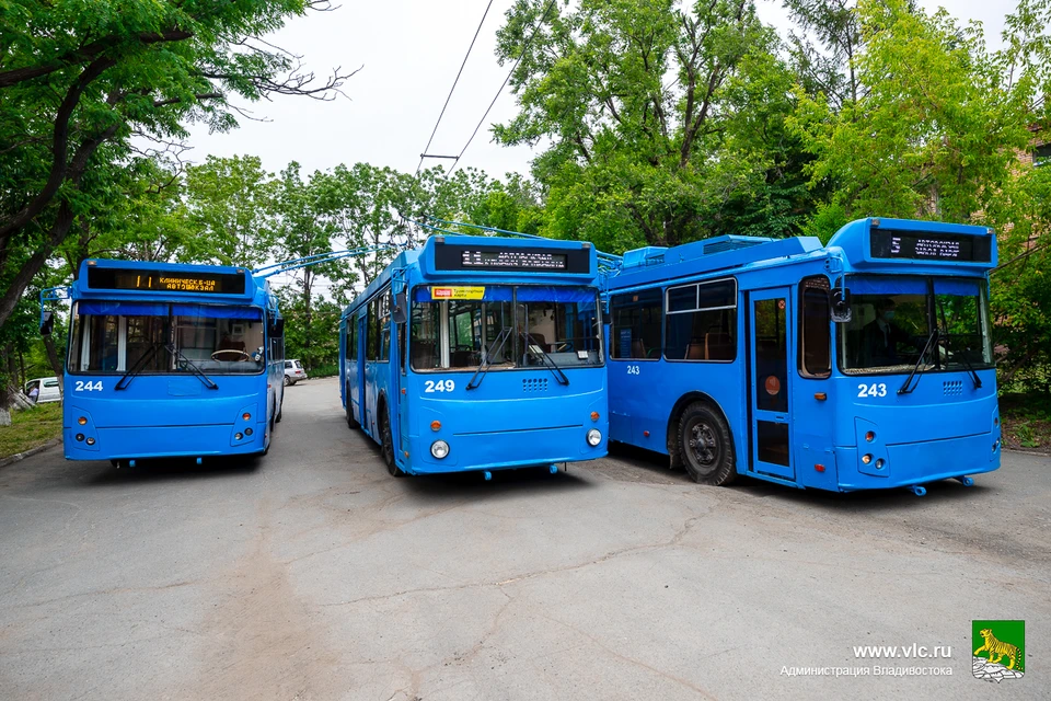 В настоящее время подвижной состав троллейбусов Владивостока составляет 16 единиц.