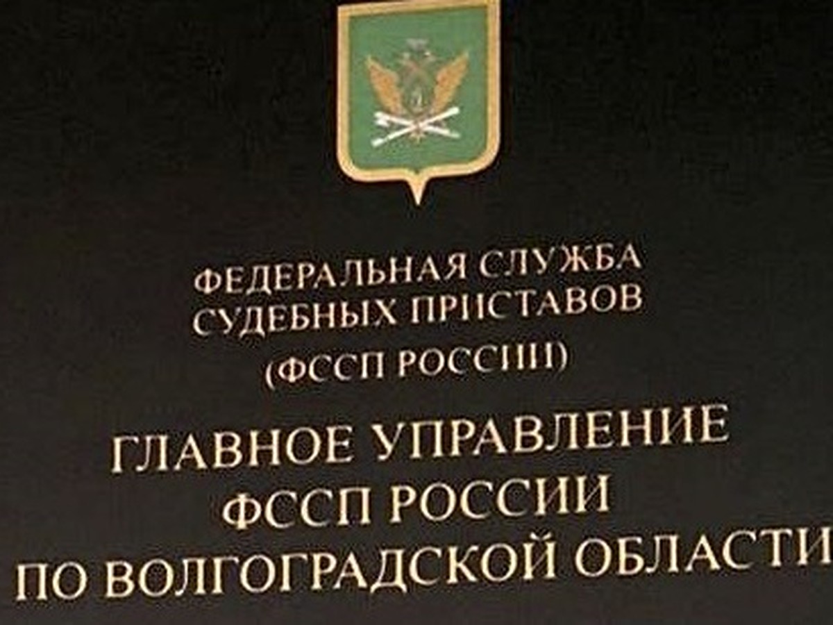 В Волгограде назначили врио замначальника региональной службы судебных  приставов - KP.RU