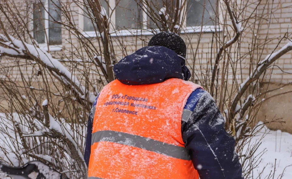 Смоленская «Городская управляющая компания» запустила колл-центр. Фото: пресс-служба администрации города.