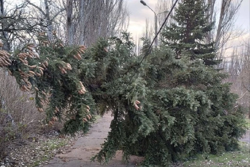 Специалисты предприятия «Зеленстрой» расчищают улицы от бурелома. Фото: Администрация города Мариуполя