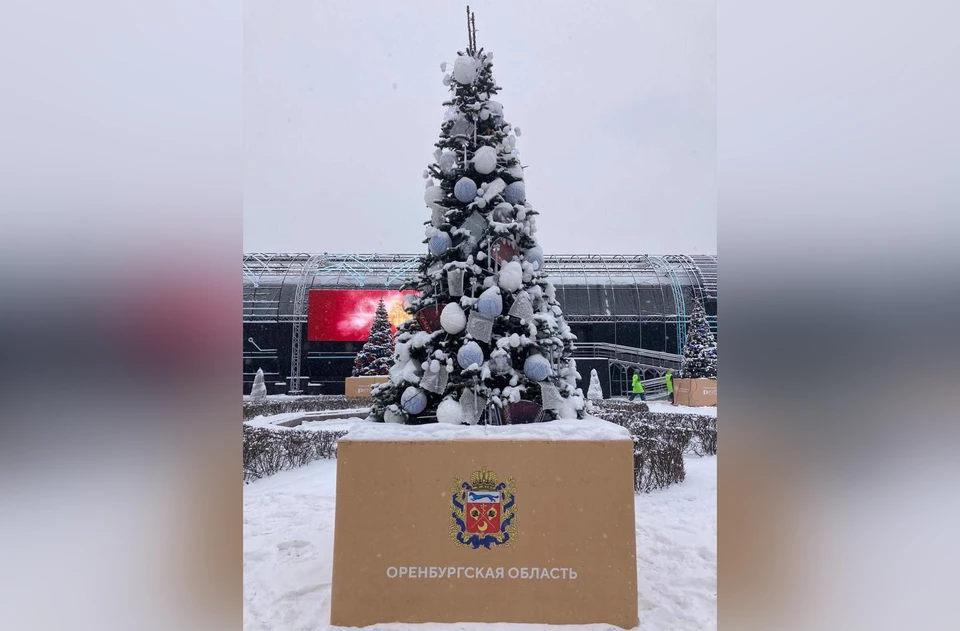 Она будет красоваться среди еще 90 деревьев в экспозиции «Елки России».