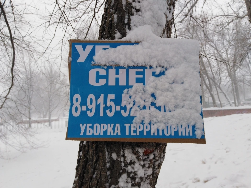 Мокрый снег и потепление ждет белгородцев 1 декабря.