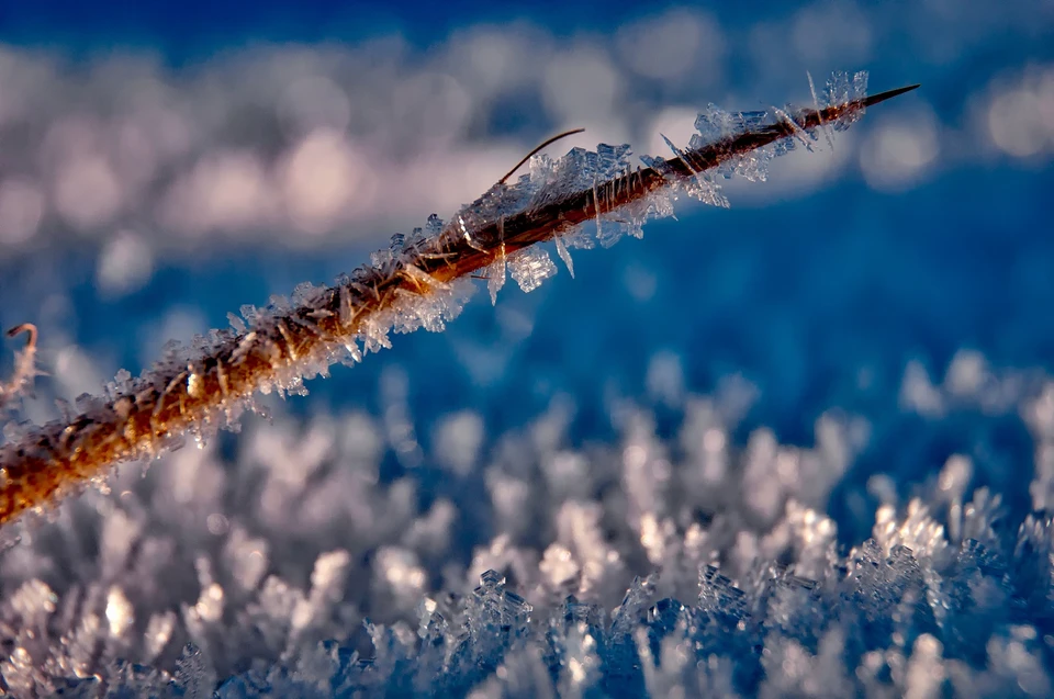 Фото: Photo by form PxHere