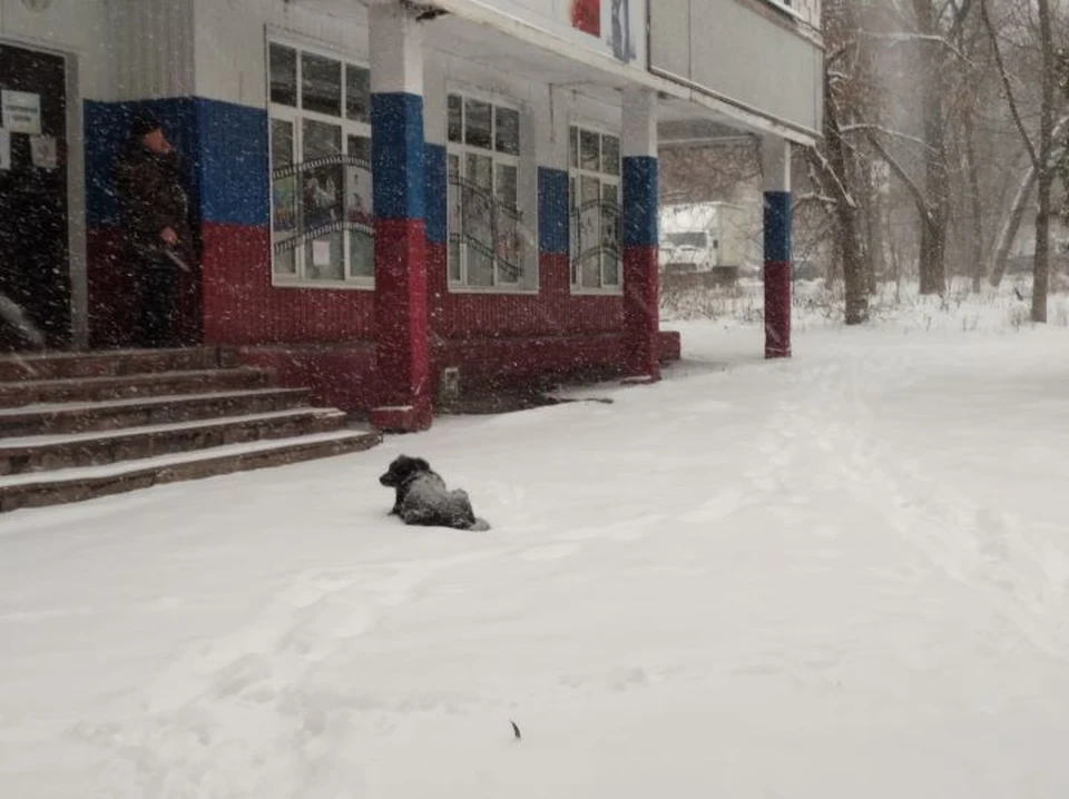 В регионе держится морозная погода
