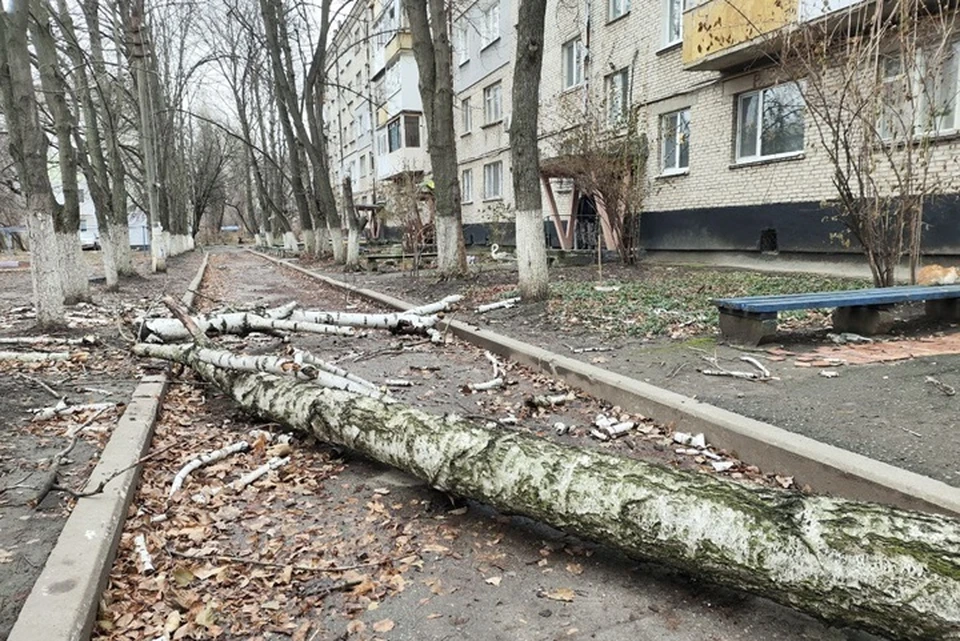Помочь устранить последствия урагана на территории Антрацитовского района предложил губернатор Ставропольского края Владимир Владимиров