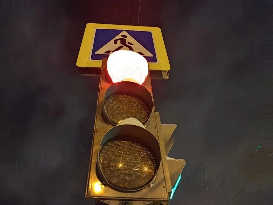 Фото: Анна Ковалева