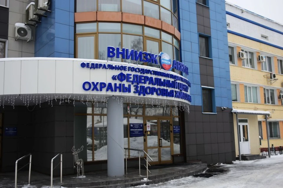 Фото: ФГБУ "ВНИИЗЖ".