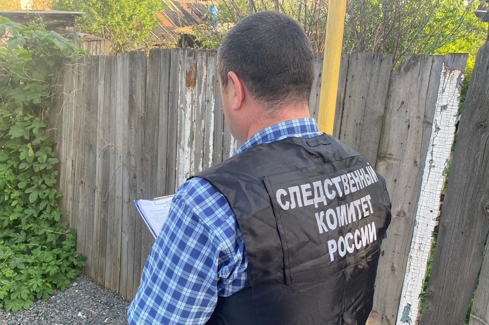 Жестокое преступление произошло 14 сентября 2023 года в доме на улице Луговой села Елшанка-1