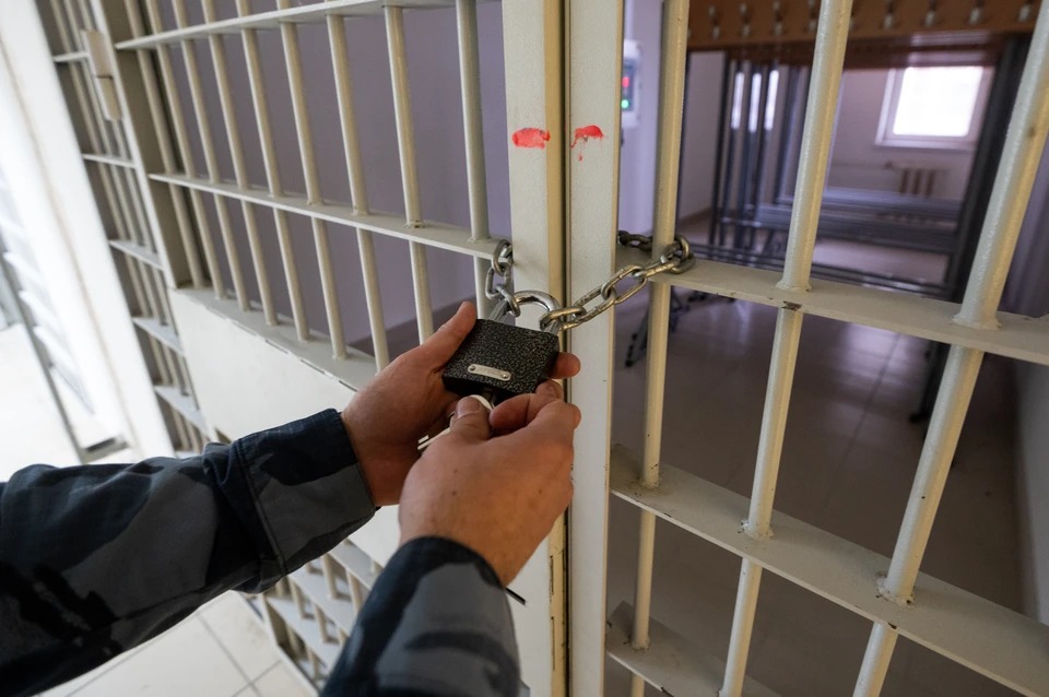 Поджигателям автомобилей в Петербурге дали от года до 5,8 года колонии.