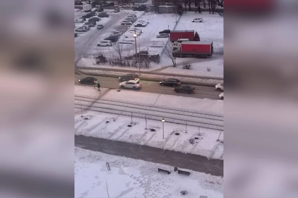 Деревья посадили на улице Ташкентской в микрорайоне 14А. / Фото: предоставлено «КП-Самара»