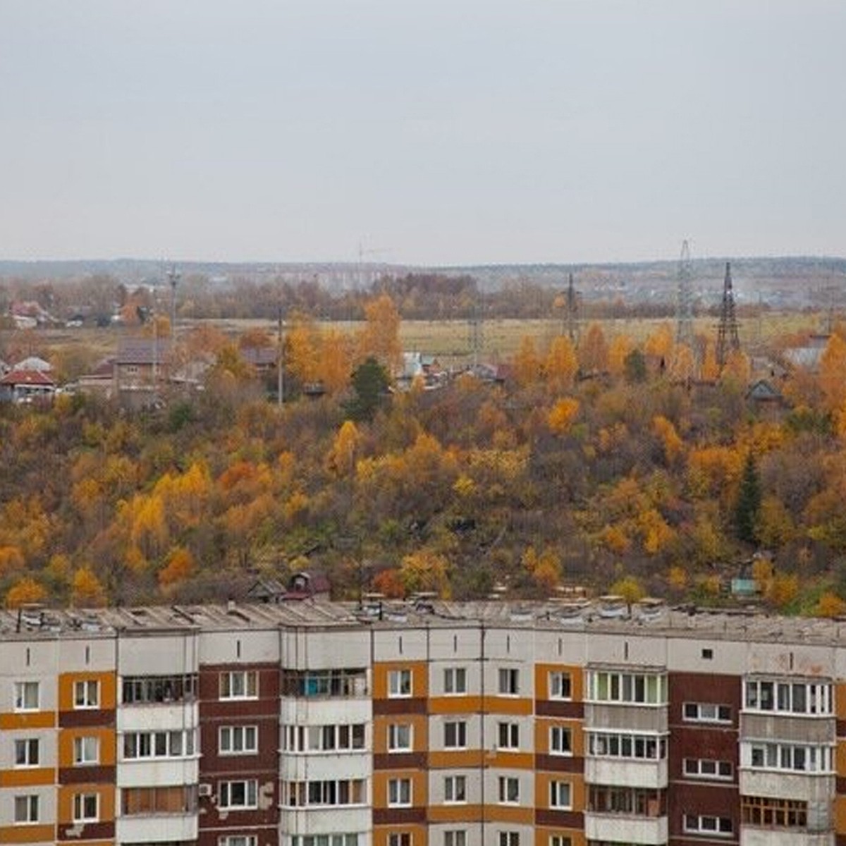 В Перми власти расторгли договоры аренды земли со злостными нарушителями -  KP.RU