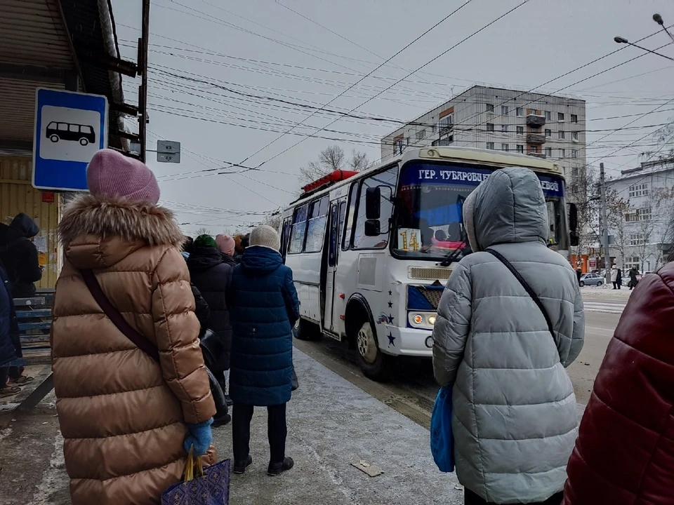 Фото: Анна КОВАЛЕВА