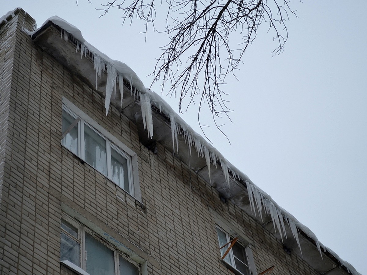 Падающий с крыш снег выбивает стекла в подъездах и рушит остановки в  Липецке - KP.RU