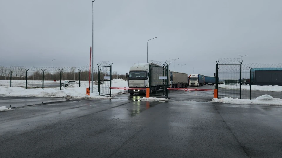 Фото - правительство Воронежской области