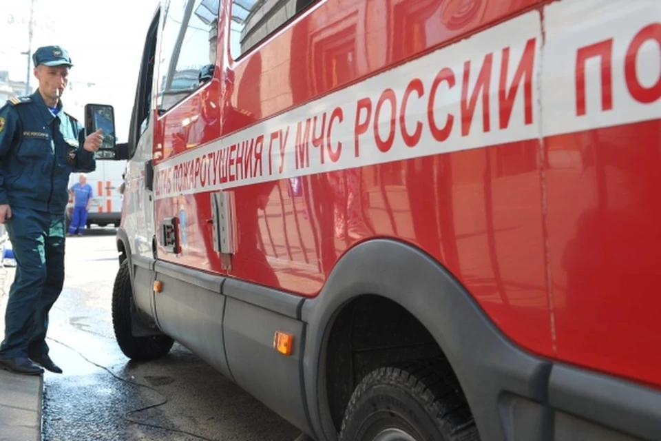 В Алтайском крае в пожаре погибли двое подростков