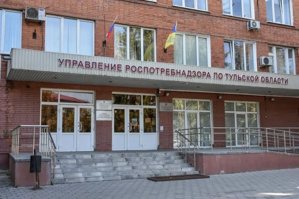 Деятельность кафе на улице Пирогова в Туле приостановили из-за обнаруженных тараканов