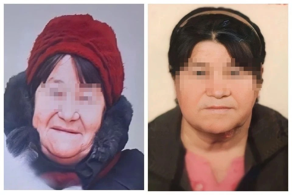 Пенсионерку нашли живой. Фото: ПСО "ЛизаАлерт"