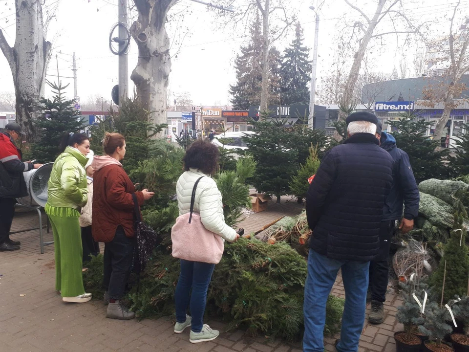 Люди пока больше интересуются ценами, пока мало кто покупает.