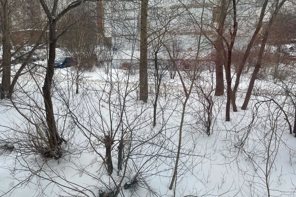 Во дворах ни души.