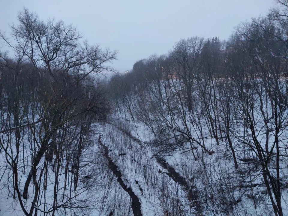 Березуйский овраг в Калуге.