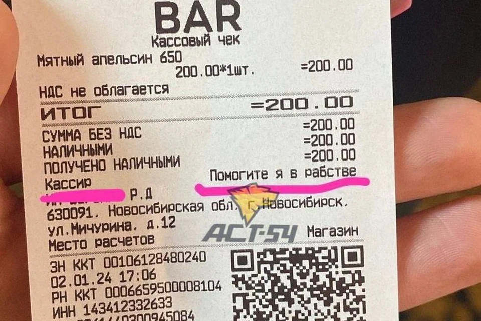 Жительница Новосибирска получила кассовый чек с просьбой о помощи. Фото: АСТ-54