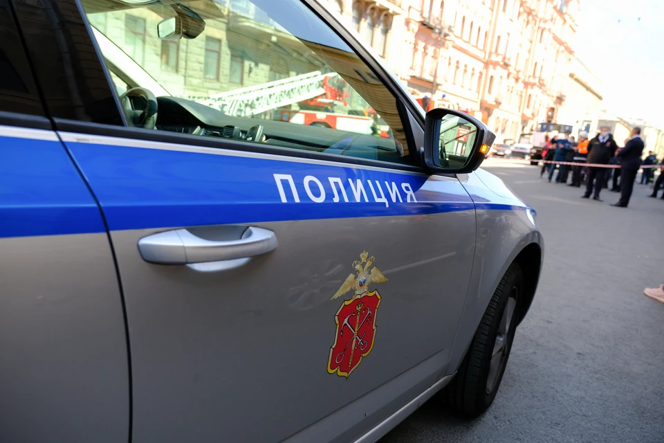 Замерзшие тела пожилых супругов нашли в дачном доме в Ленинградской области