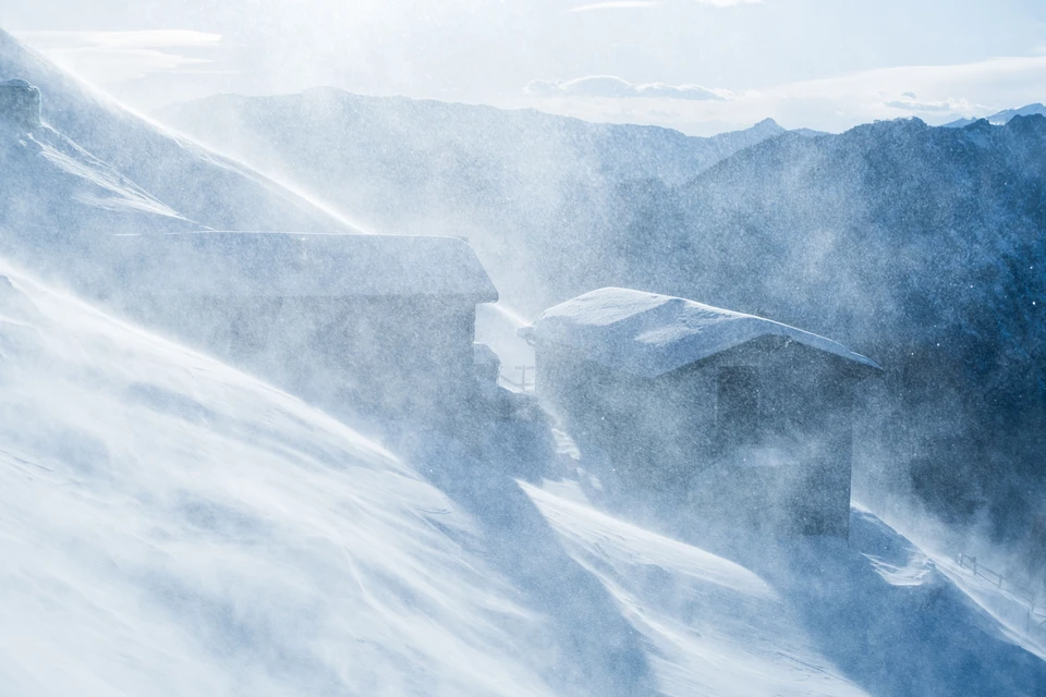 Фото - Unsplash.com
