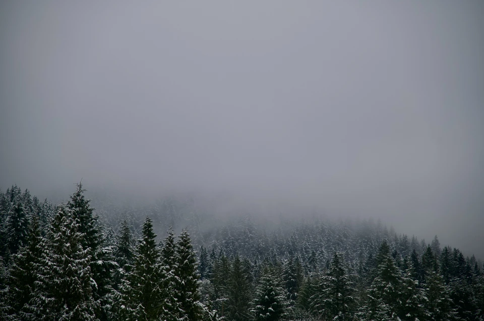 Фото - Unsplash.com