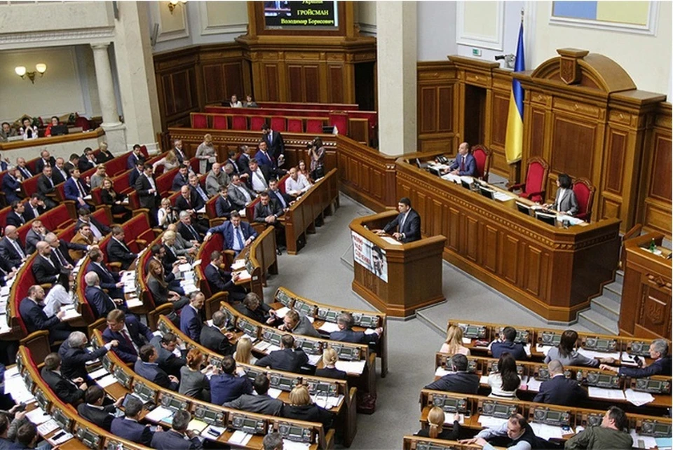 Депутат Рады Фриз: проект о мобилизации содержит антиконституционные нормы