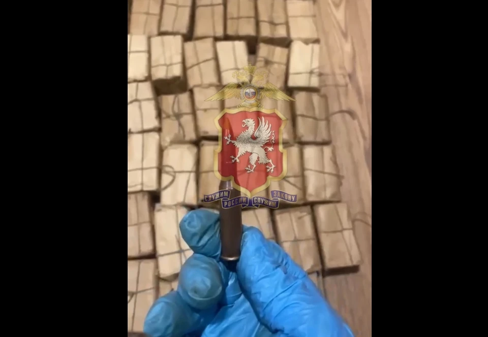 Зачем гражданину понадобился такой запас, предстоит выяснить. Фото: 92.мвд.рф