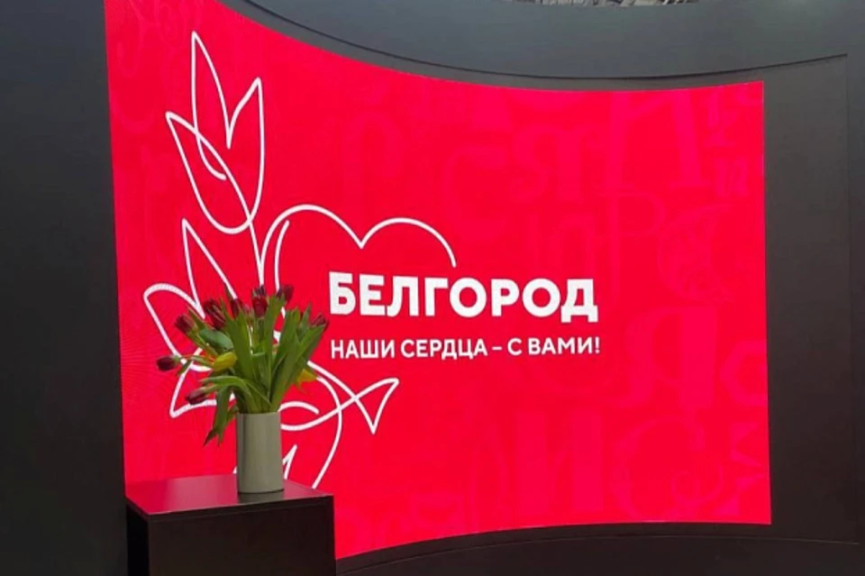 Белгородцев поддержали представители дирекции выставки-форума и других регионов России. Фото: правительство КО