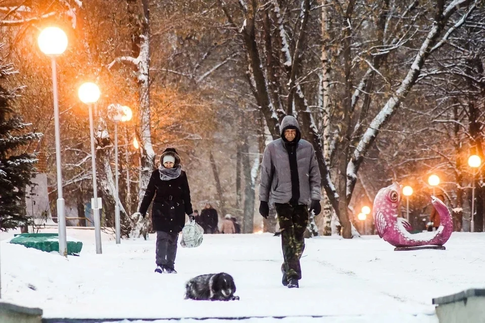 Регион накрыла метель