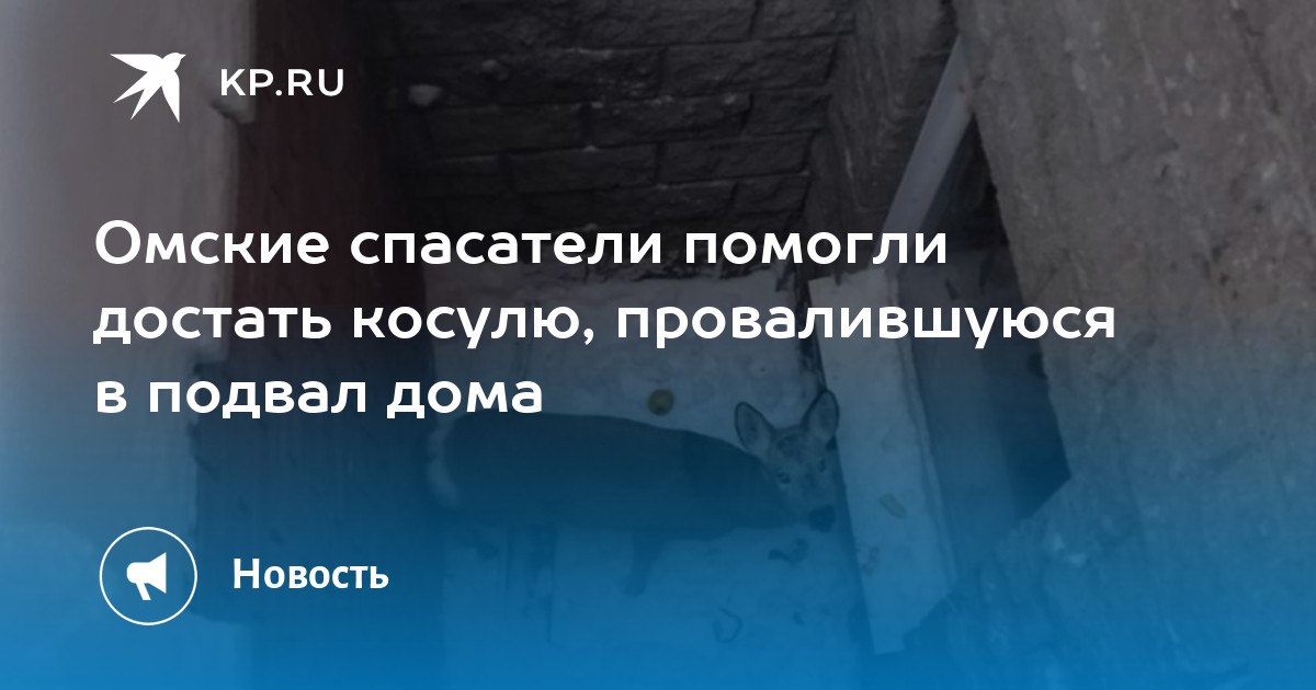 Подвал телеграмм. Подвал телеграмм