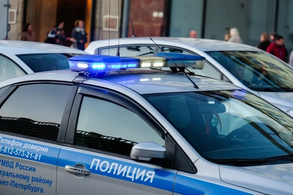 Полиция разыскивает пассажира легковушки, выстрелившего в прохожего в Петербурге.