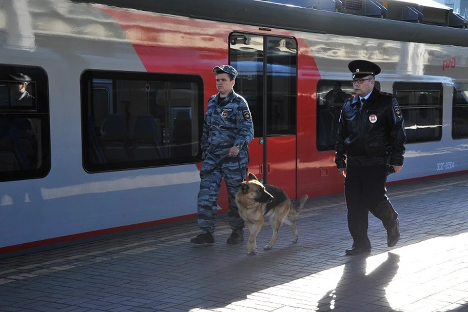 Пассажирку поезда задержали за перевозку наркотиков Хабаровском крае