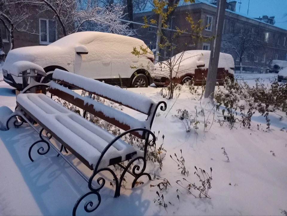 Коммунальщики в Белгороде за сутки вывезли 710 кубов снега.