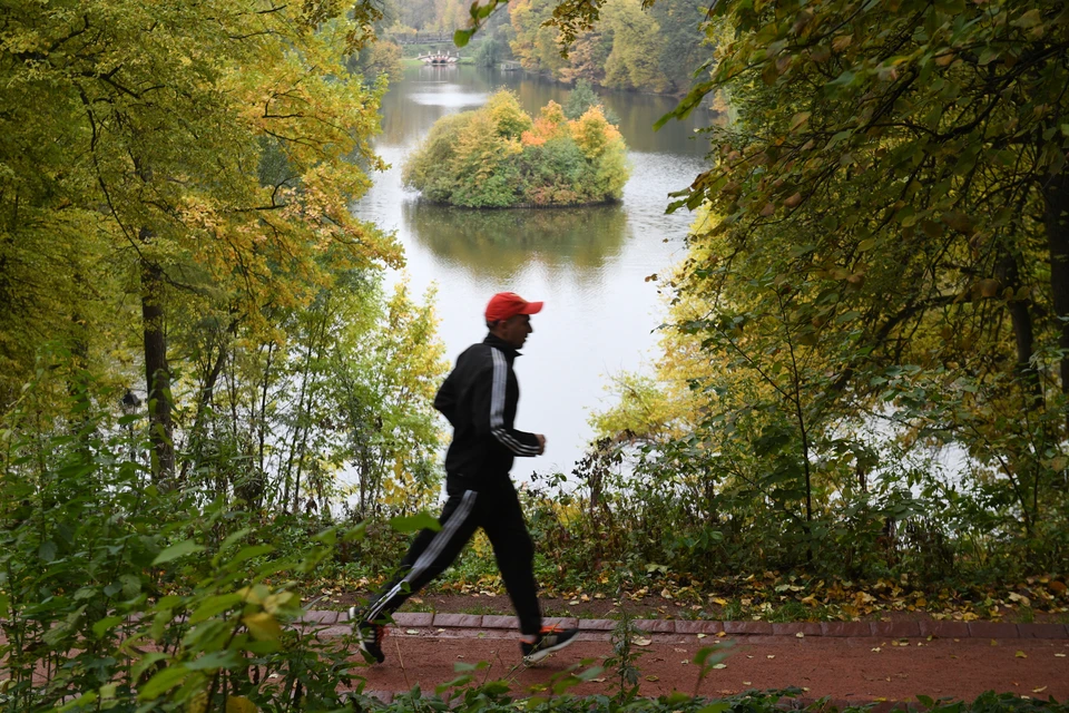 Пробежка в московском парке "Царицыно".