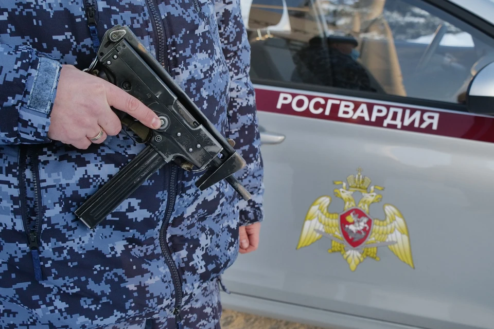 В Ульяновске задержали серийную похитительницу товаров из супермаркетов | ФОТО: Управление Росгвардии по Ульяновской области