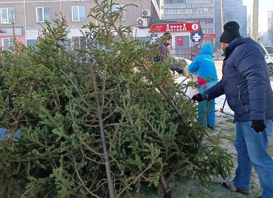 Сдача площадь. Сдача площадь