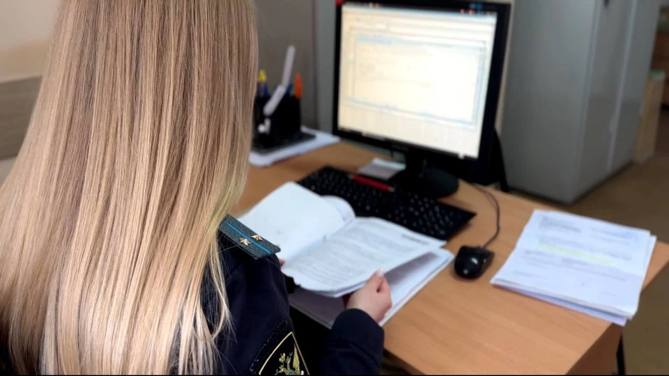 Фото: Саратовец не перечислял алименты 17-летней дочери и задолжал 1,5 миллиона рублей