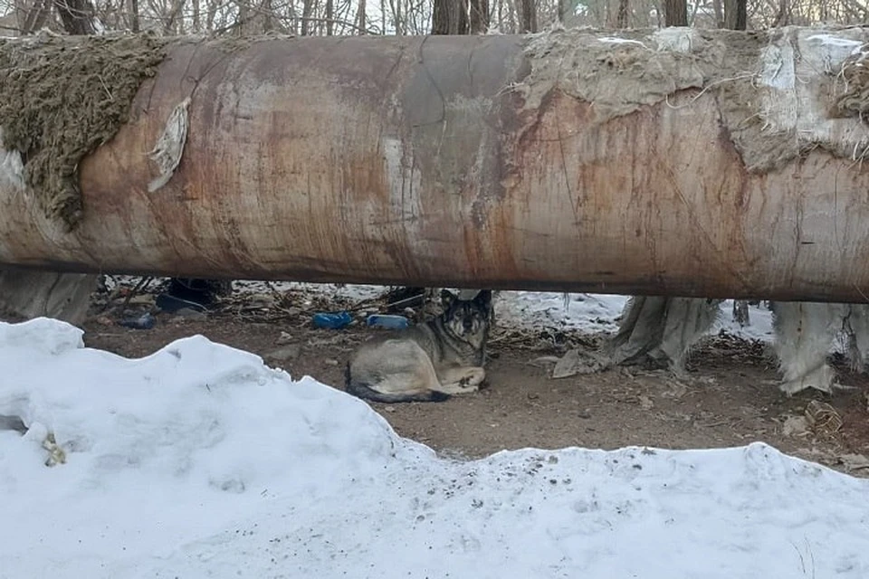 ЧП произошло рано утром, 16 января